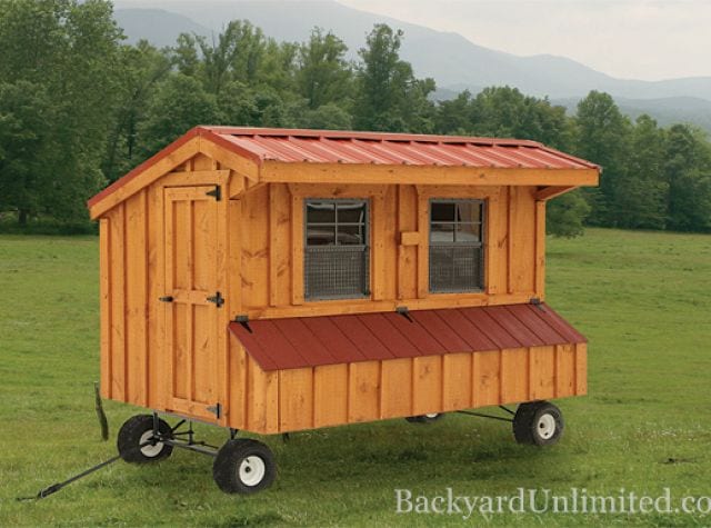 Dutch Chicken Coops for Sale - Backyard Unlimited